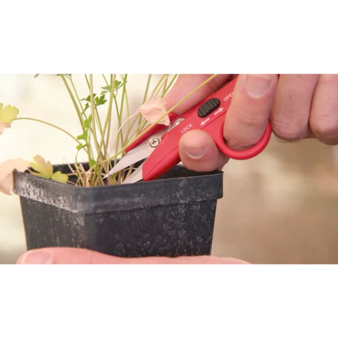 Hydroponic Finger Micro Snips – Corona – 1-1/4″